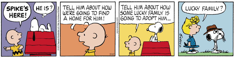 2025-07-17