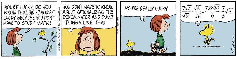 2026-02-17